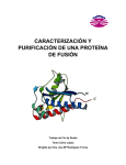 Caracterización y purificación de una proteína de fusión