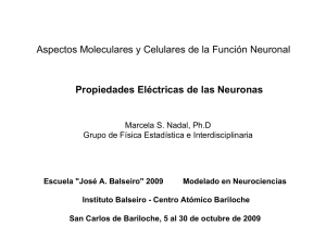 Propiedades Eléctricas de las Neuronas Aspectos Moleculares y