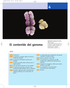 El contenido del genoma