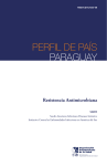 Perfil de país, Paraguay