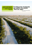 Fertilización fosfatada en el cultivo del melón "Piel de sapo"