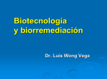 Biotecnología y biorremediación