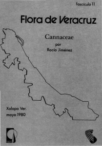 Flora de Veracruz