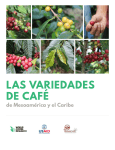 las variedades de café - World Coffee Research