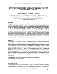 Gutiérrez Aguilar P. R., Gil-Vega K.C., Simpson J.