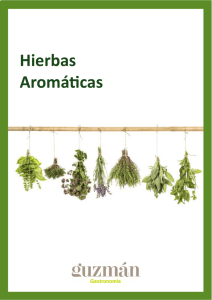 Hierbas aromátic. - Guzmán Gastronomía