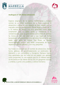 Audioguía nº 20: Almez-almencino Especie originaria de la cuenca