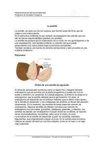 La semilla - Facultad de Ciencias Agrarias
