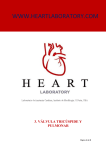 introducción - Heart Laboratory