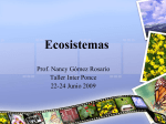 Ecosistemas - Inter Ponce