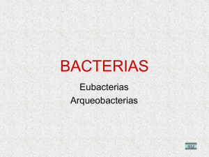 estructura y funci&oacute;n 2