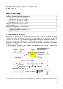 Ver/Abrir