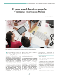 El panorama de las micro, pequeñas y medianas empresas en México
