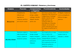 SISTEMAS y FUNCIONES (ficha incompleta para rellenar)