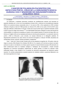 Descargar - Neumosur