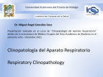Clinopatología del Aparato Respiratorio Respiratory Clinopathology