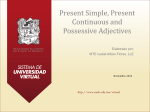 Present Simple, Present Continuous and Possessive