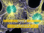 Tema 8.- La célula