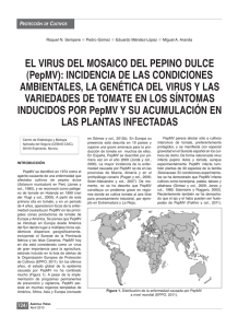 Plant Pathology at CEBAS-CSIC in Agricola Vergel