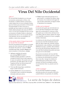 Virus Del Nilo Occidental