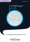 CHROMagarTM E.coli - DRG International, Inc.