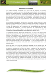 Descargue aquí el documento completo