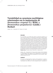 Espa&ntilde;ol  - SciELO Argentina