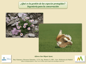 ¿En qué consiste la gestión de las especies protegidas?