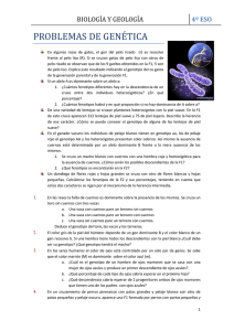 Problemas genética