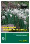 producción de semillas de cebolla