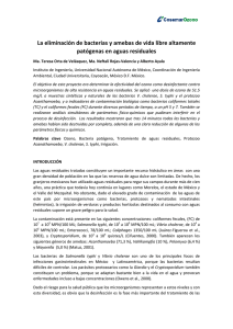 Descargar PDF - Cosemar Ozono