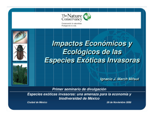 Impactos Económicos