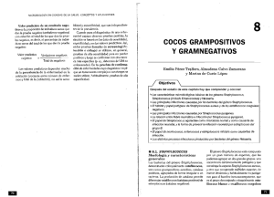 cocos grampositivos y gramnegativos