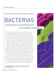 bacterias - Fundación MAPFRE
