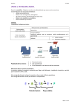 unidad 16. metabolismo. enzimas.