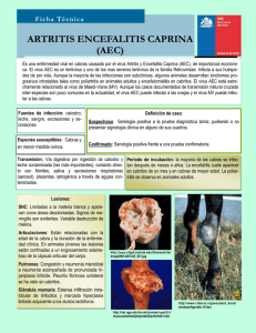 artritis encefalitis caprina (aec)