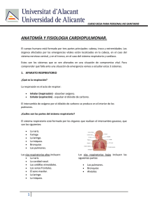 Anatomía y fisiología cardiopulmonar.