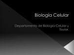 Biología Celular - Facultad de Medicina UNAM