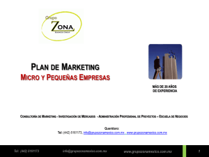 Plan de Marketing - Consultoría en Negocios y Mercadotecnia