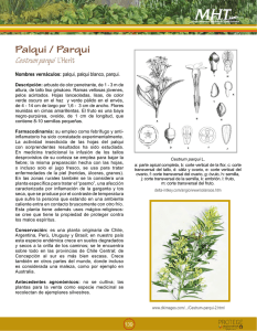 Palqui / Parqui