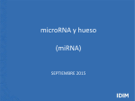 microRNA y hueso para docencia [Modo de compatibilidad]