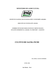 cultivo de sacha inchi - agroindustrias amazónicas