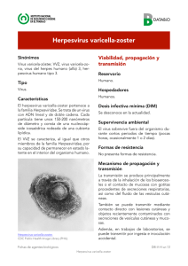 Herpesvirus varicella-zoster