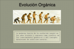 Evolución Orgánica - ZoologiaGeneral.com.ar