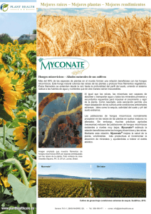 Mejores rendimientos.