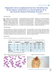 Diagnóstico de la anaplasmosis bovina e identificación de