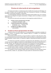 Técnicas de observación de microorganismos