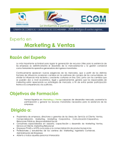 Cartilla Informativa - Experto en Marketing y Ventas