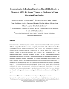 Caracterización de Enzimas Digestivas, Digestibilidad in vitro