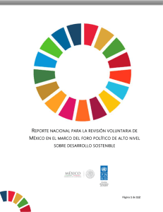 reporte nacional para la revisi&oacute;n voluntaria de m&eacute;xico en el